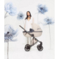 Продукт Anex E/Type EDEN Special Edition - Бебешка количка 2в1 - 7 - BG Hlapeta